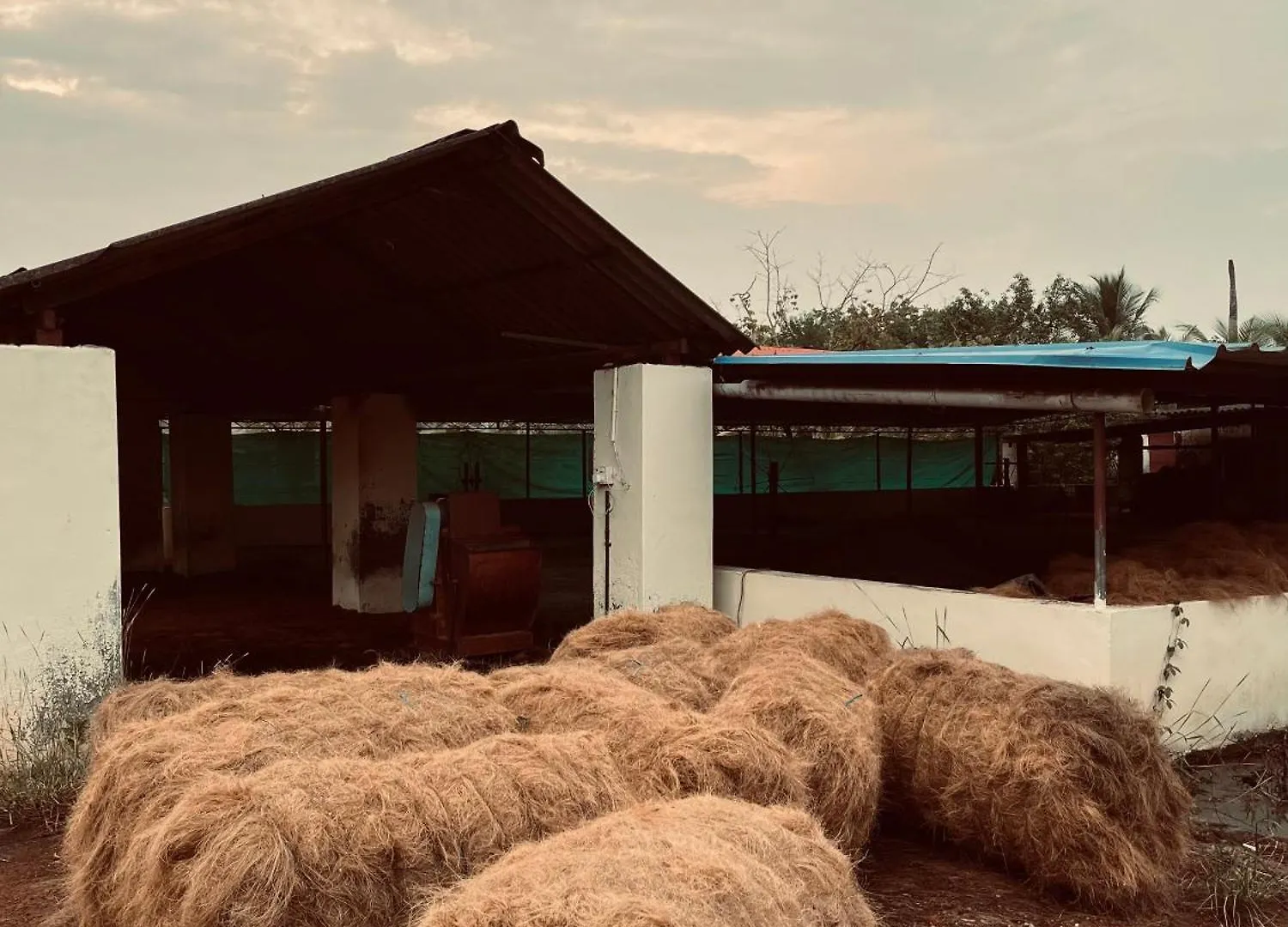 Séjour chez l'habitant Riverrootsstays Mundrothuruth