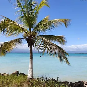 Pause_yuccas Appartement Le Gosier (Grande-Terre)
